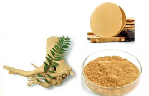 What Are The Benefits of China Tongkat Ali Extract