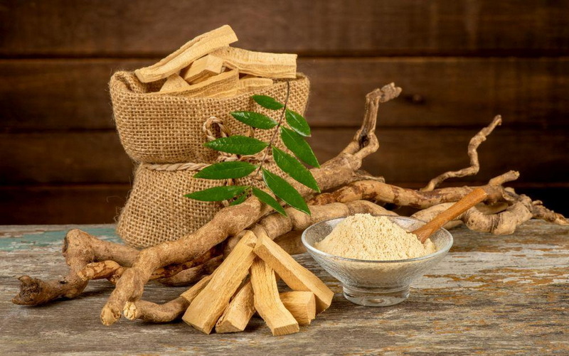 Can Tongkat Ali Extract Improve Male Fertility_1 Can Tongkat Ali Extract Improve Male Fertility_1