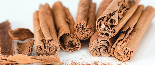 How Effective Are Cinnamon Bark Extract Tablets for Insulin Sensitivity How Effective Are Cinnamon Bark Extract Tablets for Insulin Sensitivity