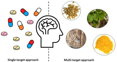 Is Green Tea L-Theanine 60% Better Than Rhodiola Rosea for Mental Performance
