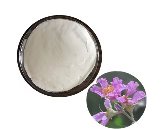 How Does Custom Banaba Leaf Extract Support Blood Sugar Control How Does Custom Banaba Leaf Extract Support Blood Sugar Control