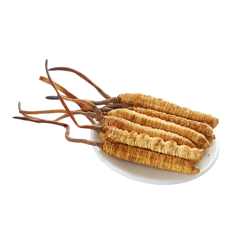 Cordyceps Powder Extract image