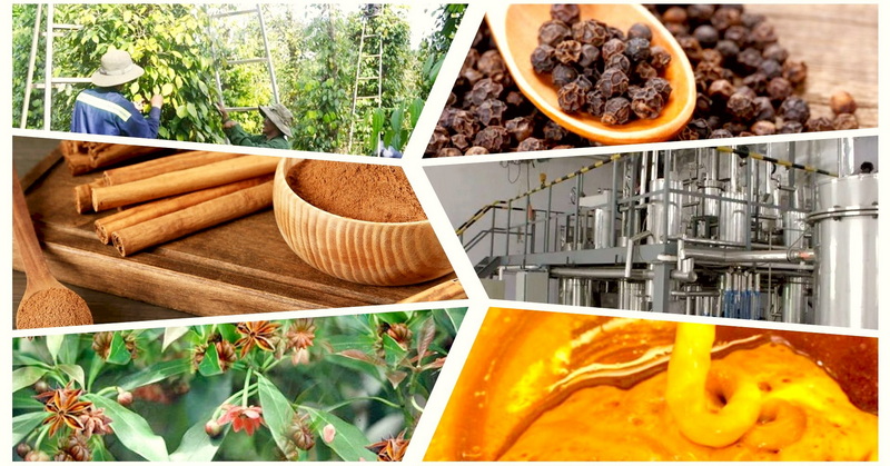 Top Supercritical CO2 Extracts Manufacturers in Russia