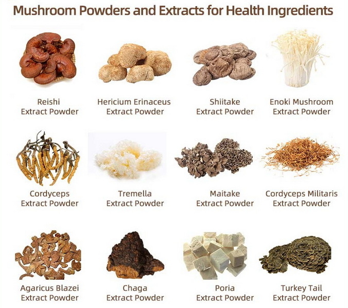 Mushroom Extracts Mushroom Extracts