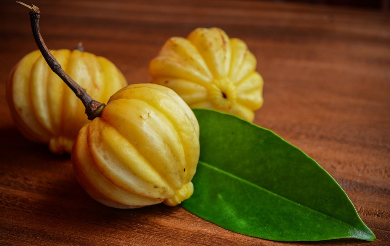 Take Garcinia Cambogia with Green Tea Extract_1 Take Garcinia Cambogia with Green Tea Extract_1