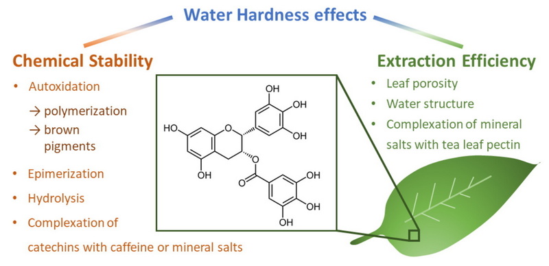 Does Smart Water with Green Tea Extract Have Caffeine' Does Smart Water with Green Tea Extract Have Caffeine'