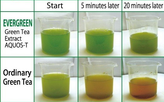 Shakeology Have Green Tea Extract Shakeology Have Green Tea Extract