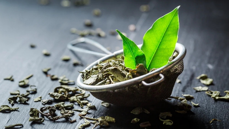 Green Tea Extract Cause Hair Loss_1 Green Tea Extract Cause Hair Loss_1