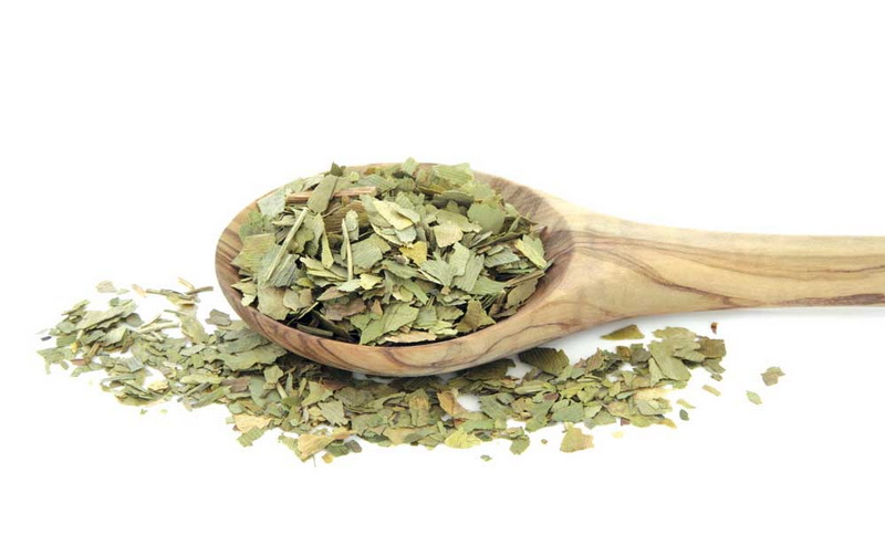 can dogs take green tea extract_3