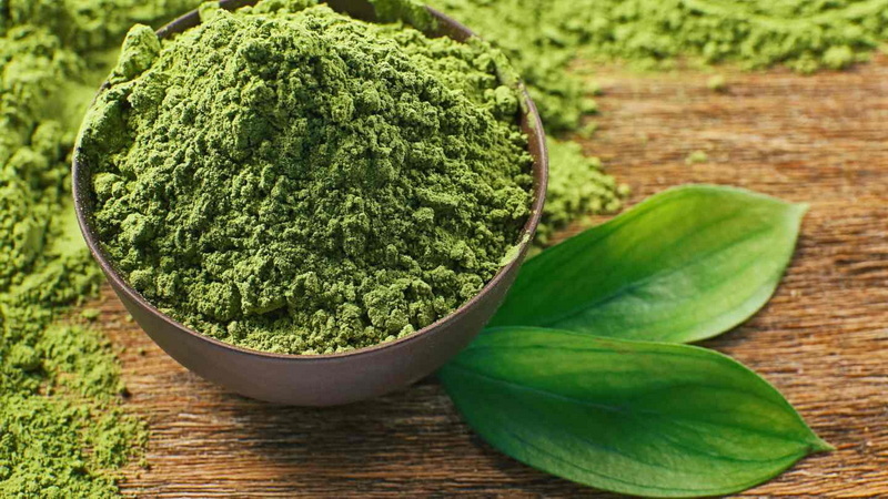 green tea extract powder 1