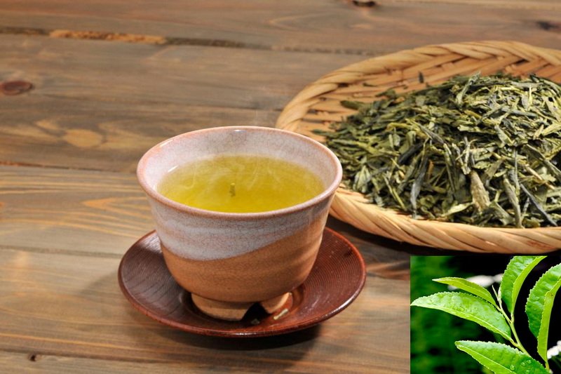green tea extract_10 green tea extract_10
