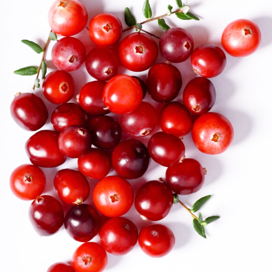 Cranberry Extract image