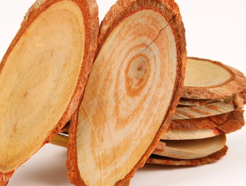 Tongkat Ali Extract in the Global Market: Opportunities, Benefits, and Supplier Selection