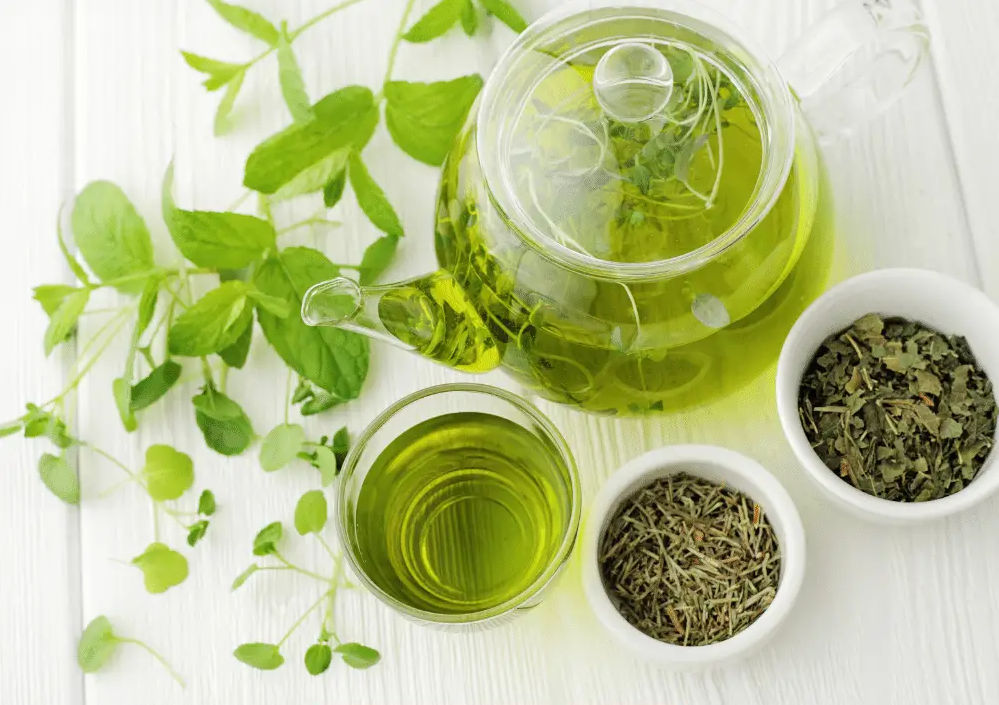Green Tea Extract1321