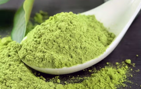 Is Green Tea Extract Powder Bad for You Is Green Tea Extract Powder Bad for You