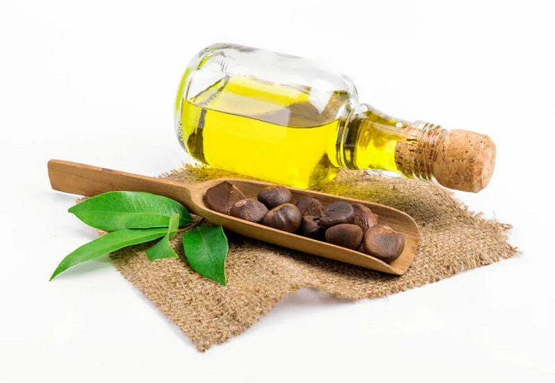 Green Tea Seed Extract Green Tea Seed Extract
