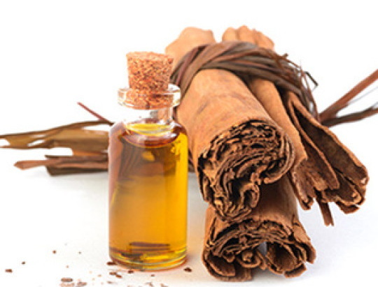 Cinnamon Bark Oil_2 Cinnamon Bark Oil_2