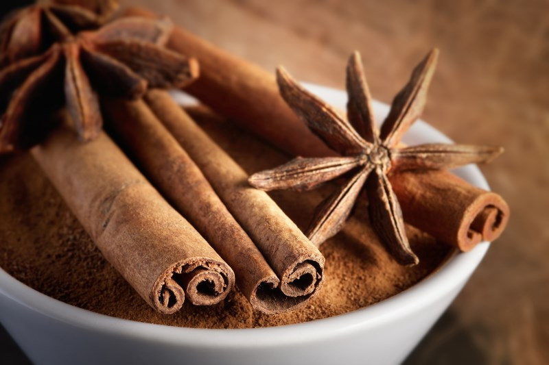 What Are The Best Gaia Cinnamon Bark Extract Suppliers Online?