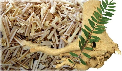 What Are The Benefits of Private Label Tongkat Ali Extract