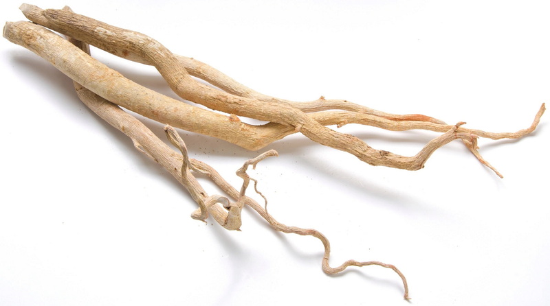 Can Tongkat Ali Extract Help with Anxiety And Depression?