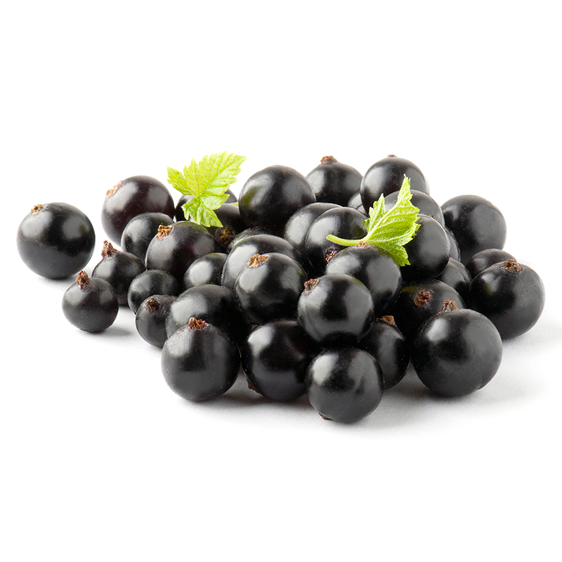Black Currant Extract image