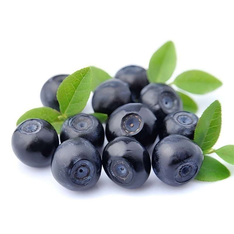 Bilberry Extract image