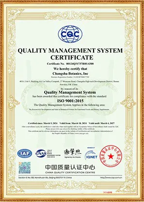 （ISO9001）
