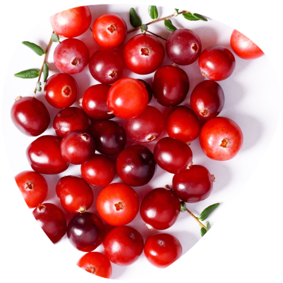 Cranberry Extract