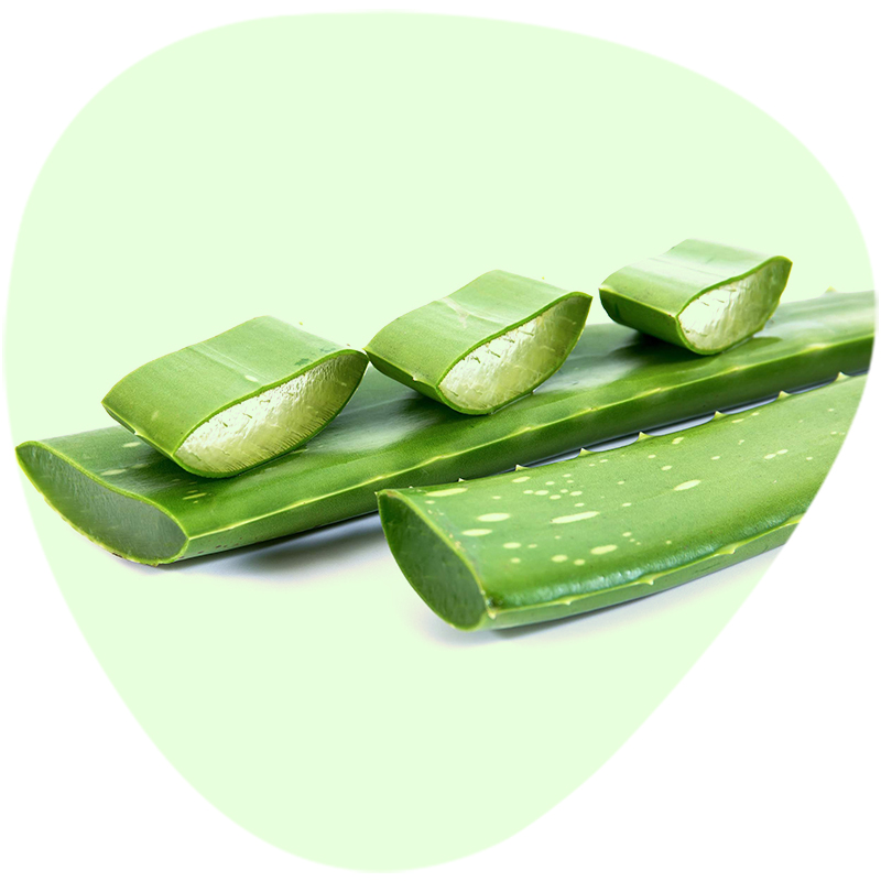 Aloe Vera Extract