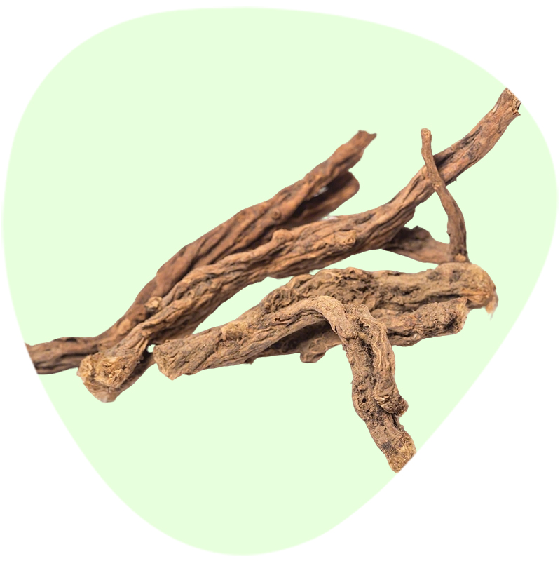 Anemone Root Extract