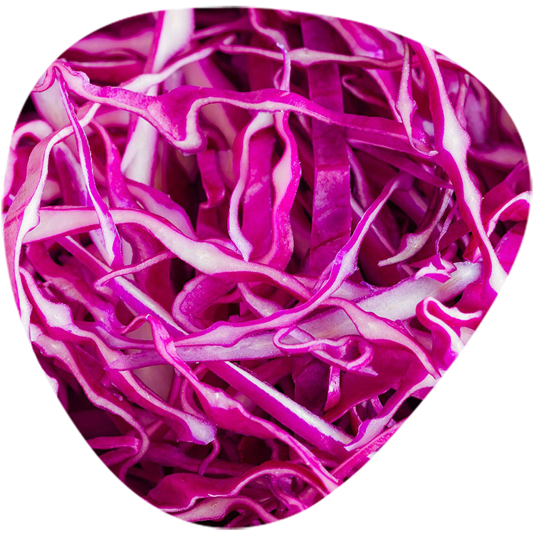 Cabbage Red