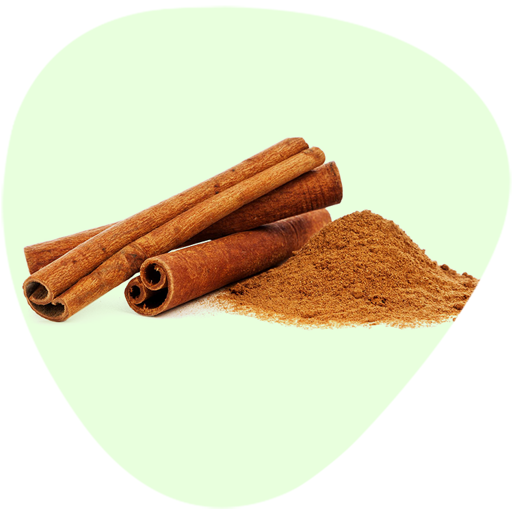 Cinnamon Bark Powder Extract