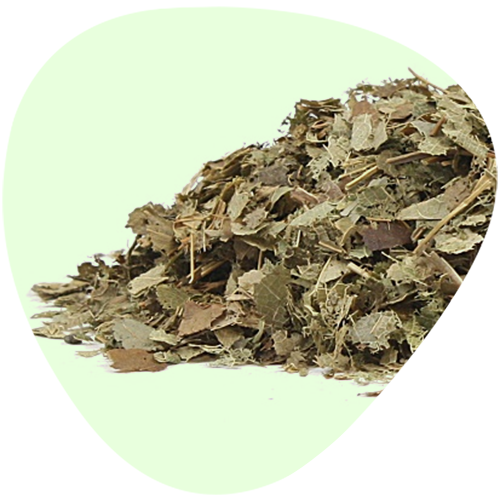 Epimedium Extract 10:1 20:1