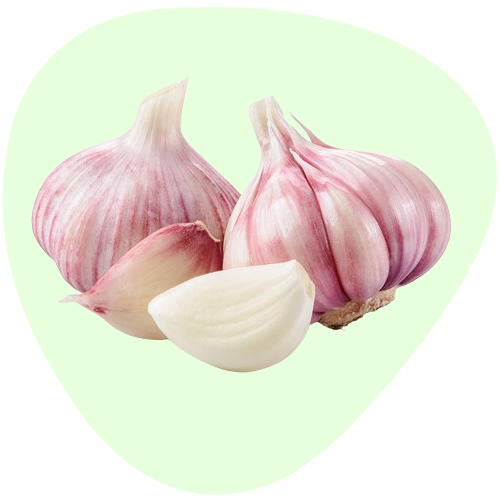 Garlic Extract