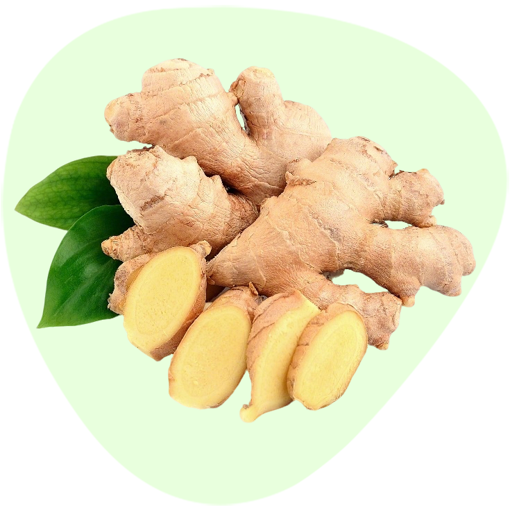 Ginger Powder Extract