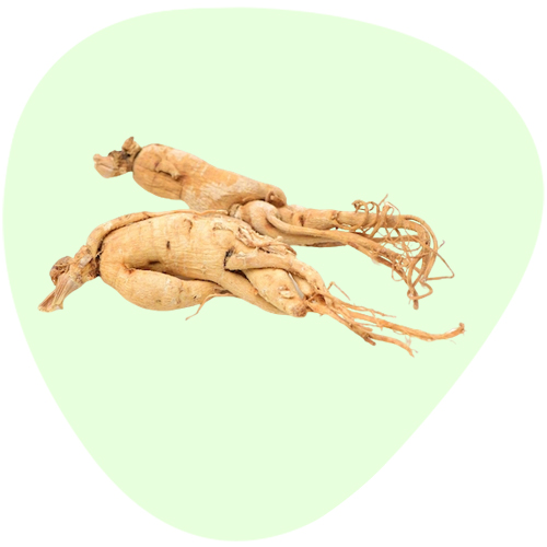 Ginseng Root Extract