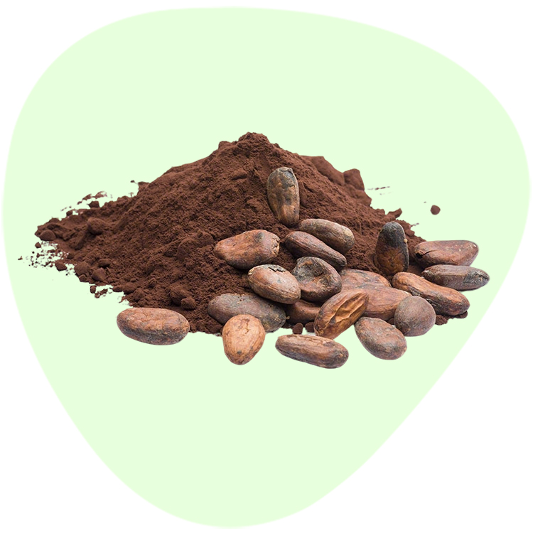 Griffonia Seed Extract