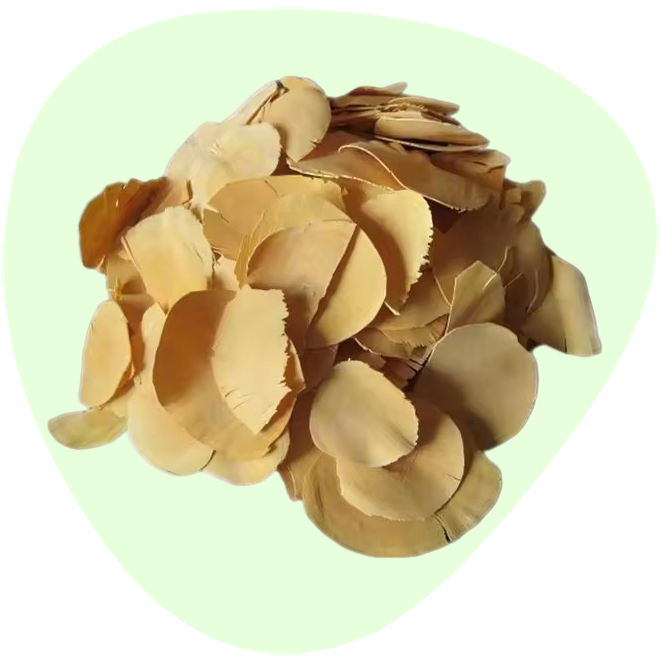 Water Soluble Tongkat Ali Root Extract