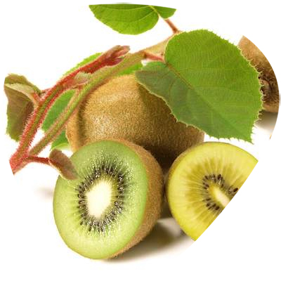 Kiwi Fruit Powder Extract 10:1 20:1