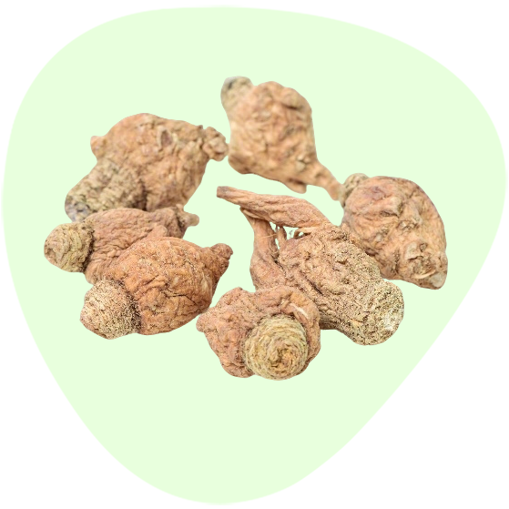 Maca Extract