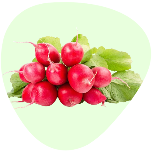 Radish Red