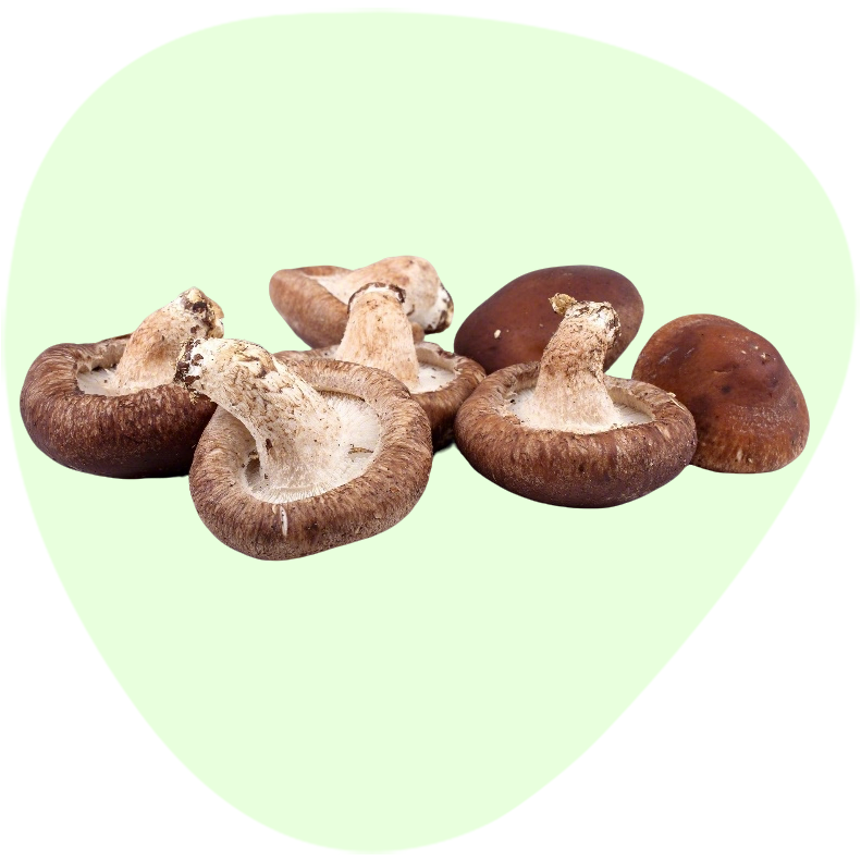 Shiitake Extract Polysaccharides