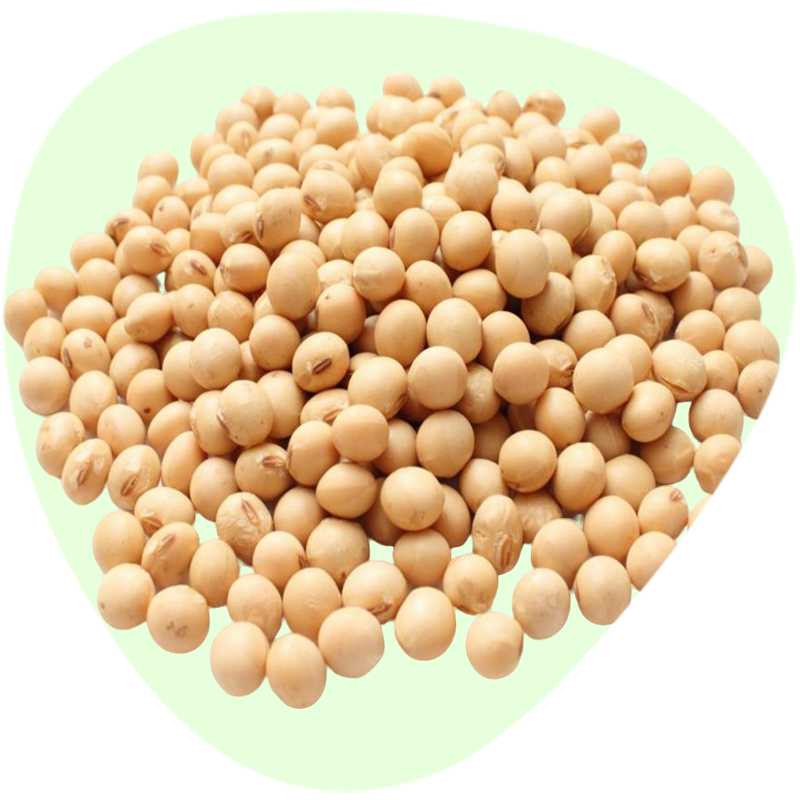 Soybean Extract