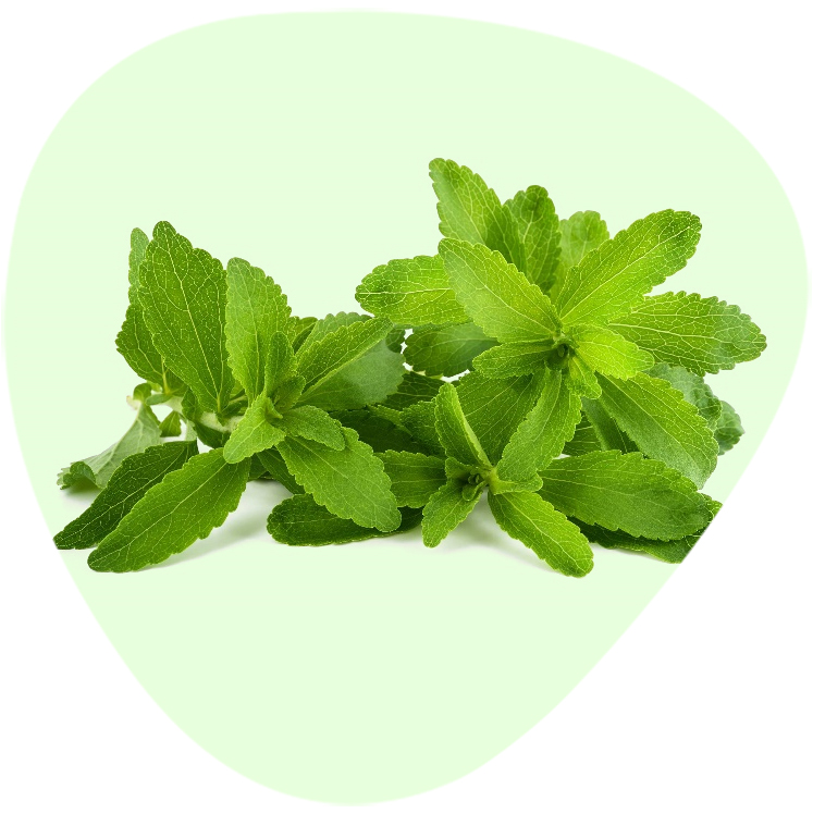 Stevia Rebaudioside A