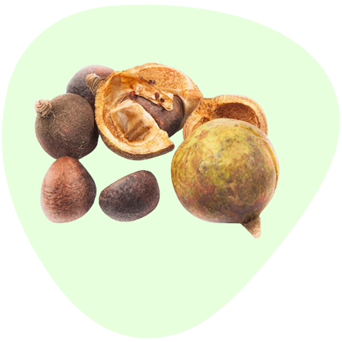 Tea Seed Extract