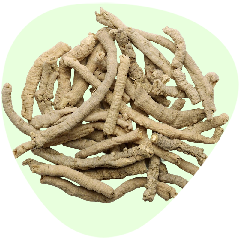 Thinleaf Milkwort Extract