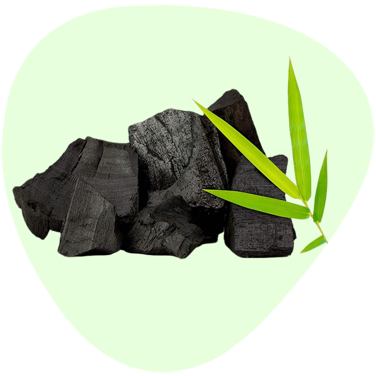 Vegetable Carbon Black