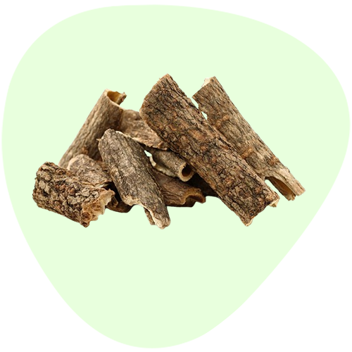 Siberian Ginseng Extract