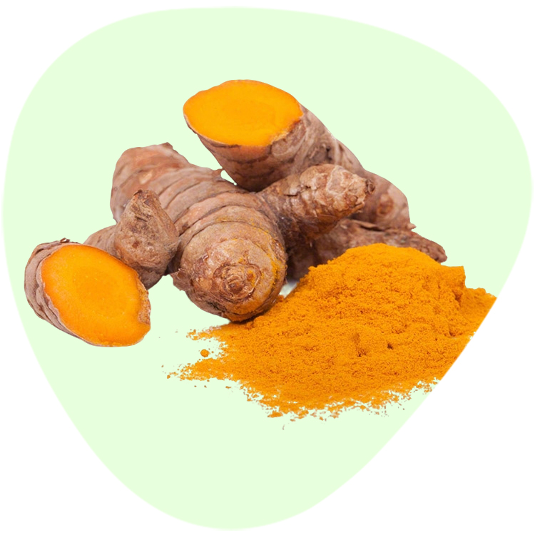 Turmeric Extract